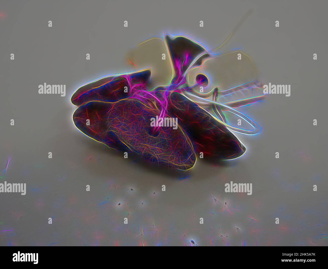 Inspiriert von Nüssen, die als Perlen, Nüsse oder Samen verwendet werden, eine Mutter: 7/16 × 5/16 × 3/4 in., 1,1 × 0,8 × 1,9 cm, neu erfunden von Artotop. Klassische Kunst neu erfunden mit einem modernen Twist. Design von warmen fröhlichen Leuchten der Helligkeit und Lichtstrahl Strahlkraft. Fotografie inspiriert von Surrealismus und Futurismus, umarmt dynamische Energie der modernen Technologie, Bewegung, Geschwindigkeit und Kultur zu revolutionieren Stockfoto