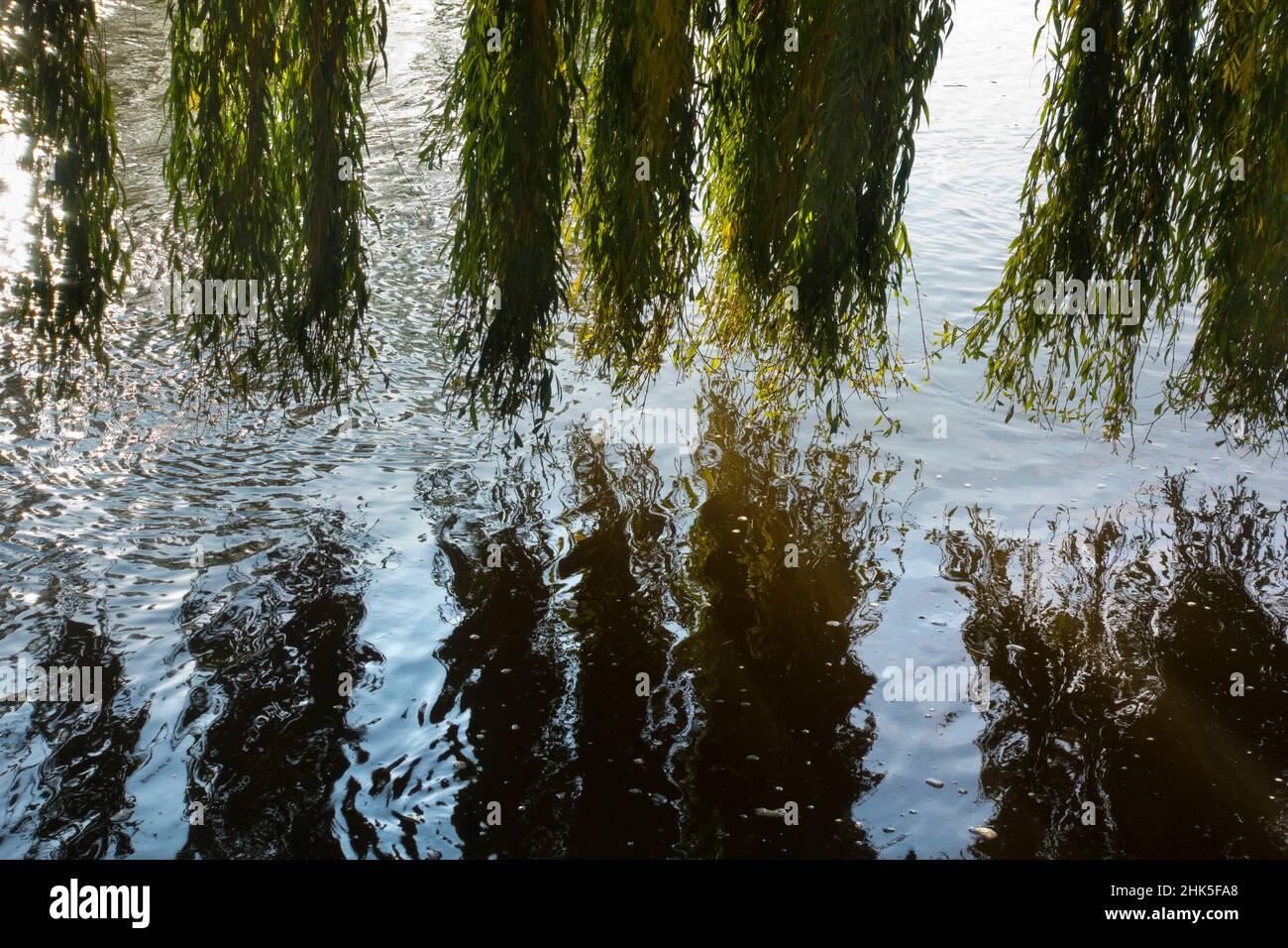 Saint Helen's Wharf ist ein bekannter Schönheitsort an der Themse, direkt oberhalb der mittelalterlichen Brücke bei Abingdon-on-Thames. Hier sehen wir Reflexionen von Stockfoto