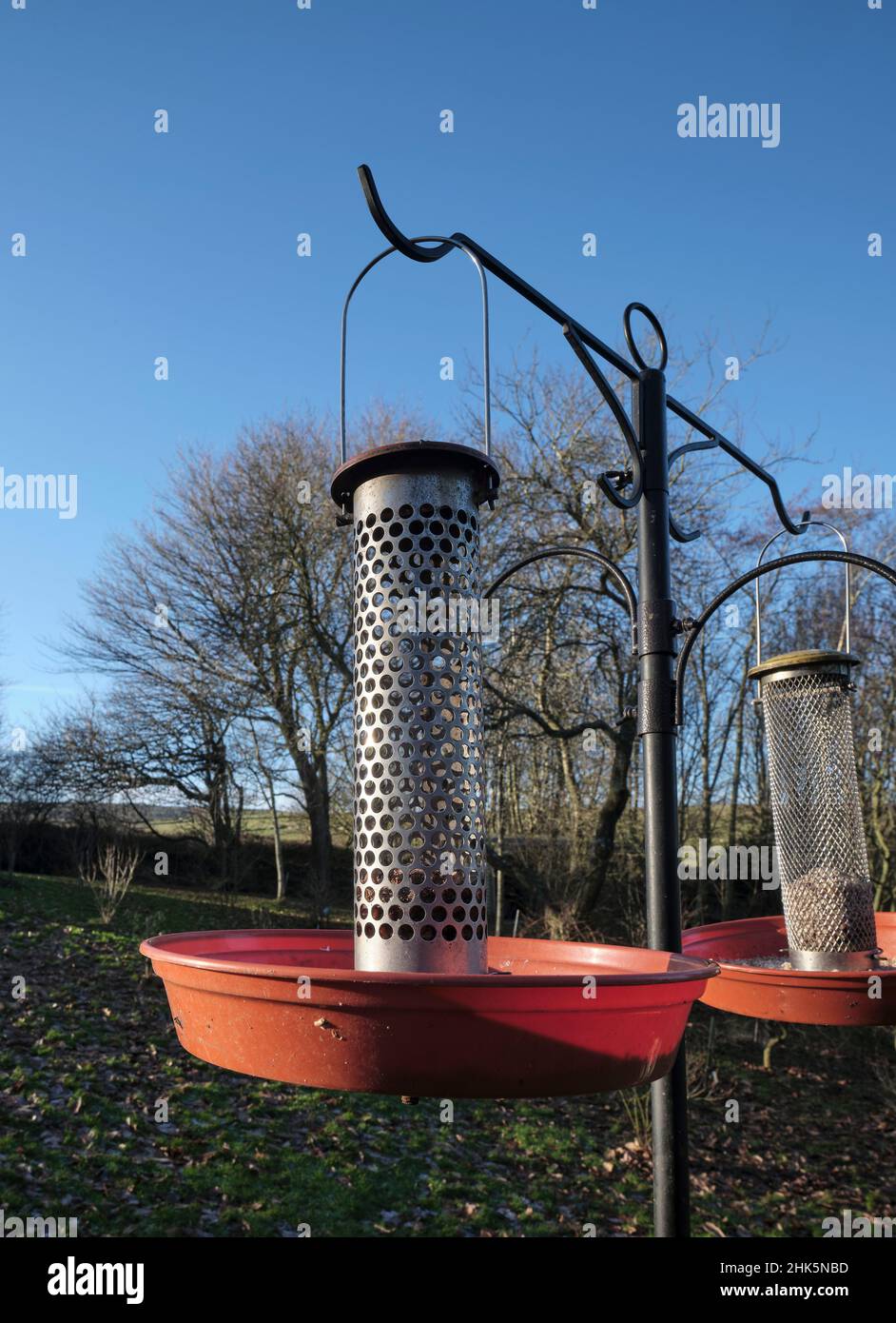 Erdnusshalter auf Vogelfütterungsstation im Garten auf Moorland-Kleinbetrieb in North Yorkshire Stockfoto