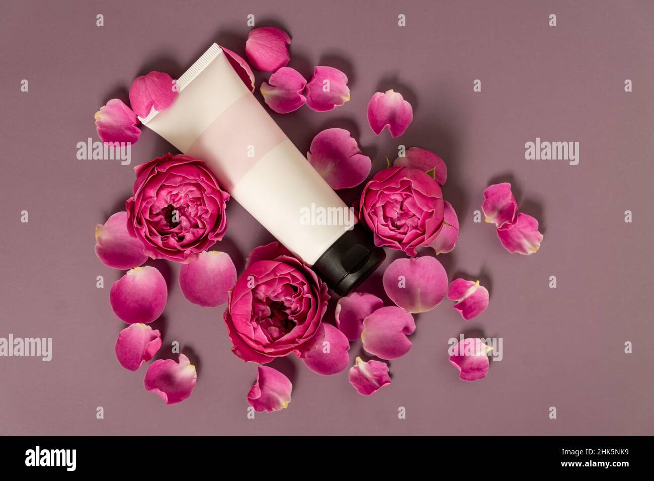 Schönheitsbehandlung. Tube mit rosa Rosen auf einem dunkelrosa Hintergrund. Beauty Spa und Wellness, Anti-Aging-Behandlungen mit Rosenblättern. Das Konzept von out Stockfoto