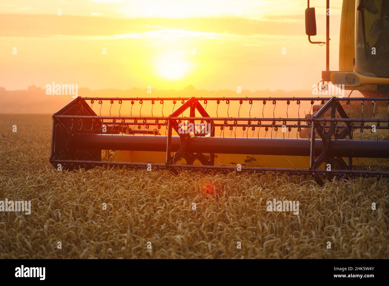 Mähdrescher ernten reifen Weizen. Reife Ähren gold Feld auf den Sonnenuntergang bewölkt orange Himmel Hintergrund. . Konzept für eine reiche Ernte. Landwirtschaft Stockfoto