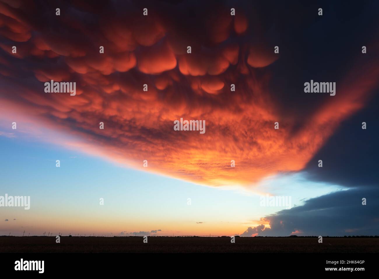 Dramatische Mammatus Wolken bei Sonnenuntergang über einem Feld in Lubbock, Texas Stockfoto