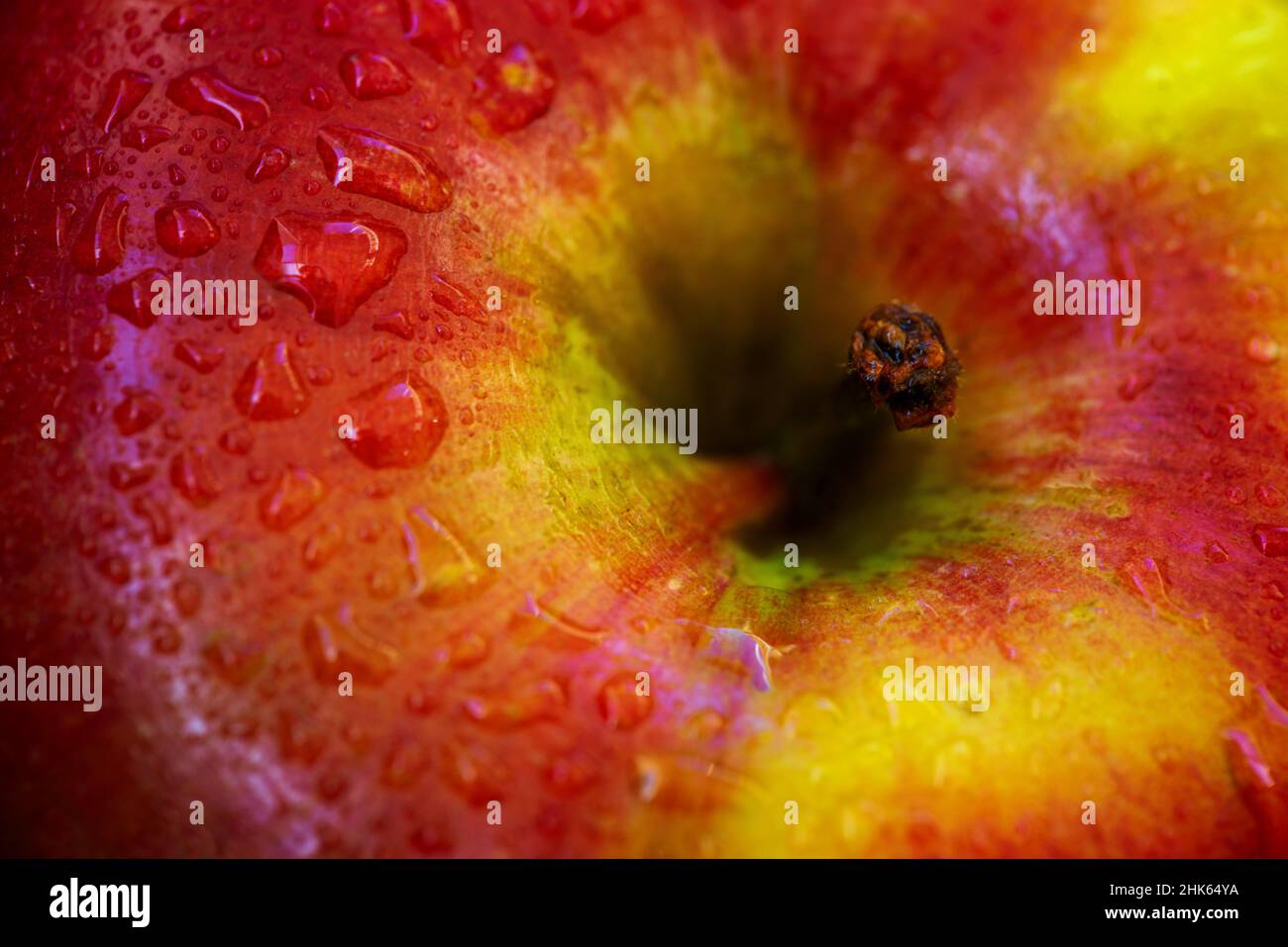 Roter und grüner Apfel aus der Nähe, farbenfrohe frische Früchte Hintergrund Stockfoto