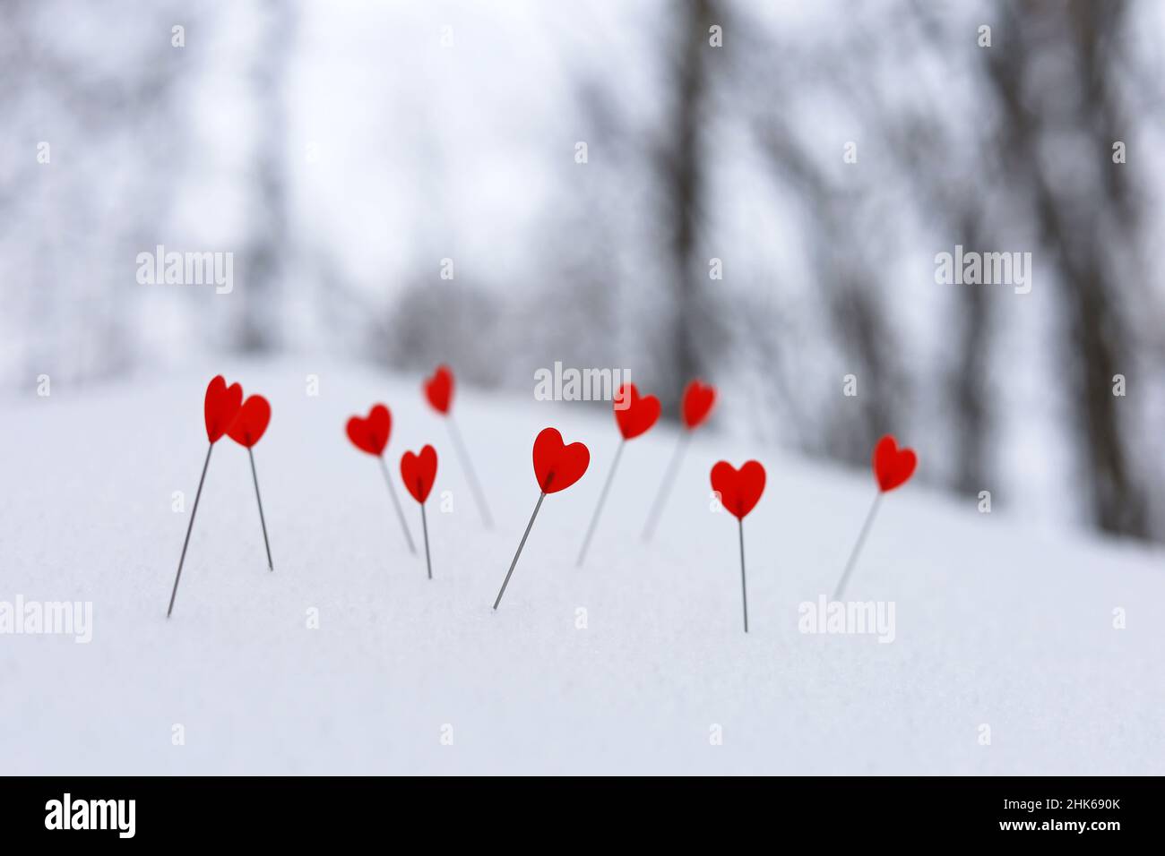 Liebe Herzen auf einem Schneehügel Hang auf Winterwald Hintergrund. Grußkarte, romantischer Valentinstag Stockfoto