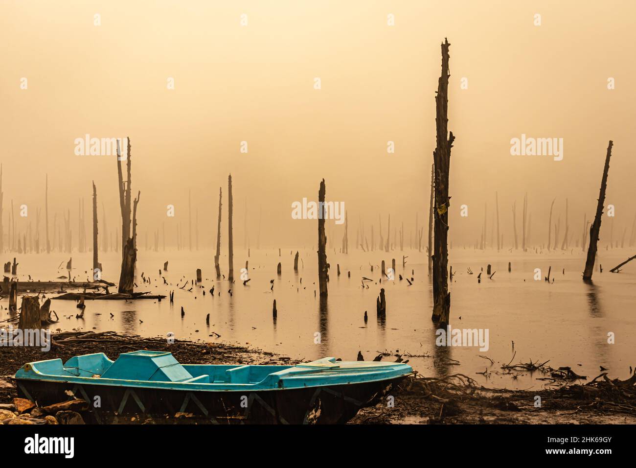 Nebliger See mit vielen trockenen Baumstämmen am Morgen aus flachem Winkel Bild wird am madhuri See tawang arunachal pradesh aufgenommen. Stockfoto