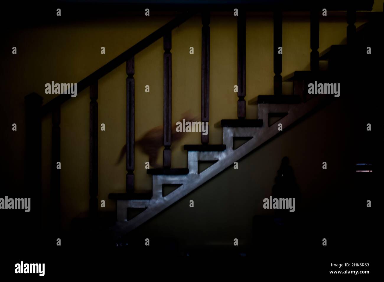 Eine Katze, die an der Leiter läuft Stockfoto