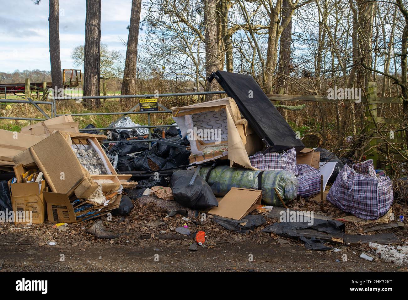 Buckinghamshire, Großbritannien. 2nd. Februar 2022. Illegales Kippen von Fliegen entlang einer Landstraße in Buckinghamshire. Quelle: Maureen McLean/Alamy Stockfoto