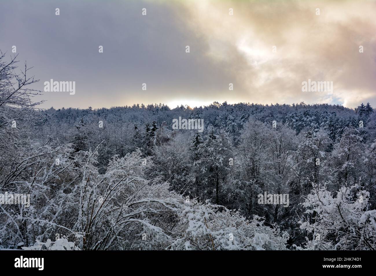 Tiefschnee mit Sonnenaufgang hinter den Bäumen im Wald Stockfoto