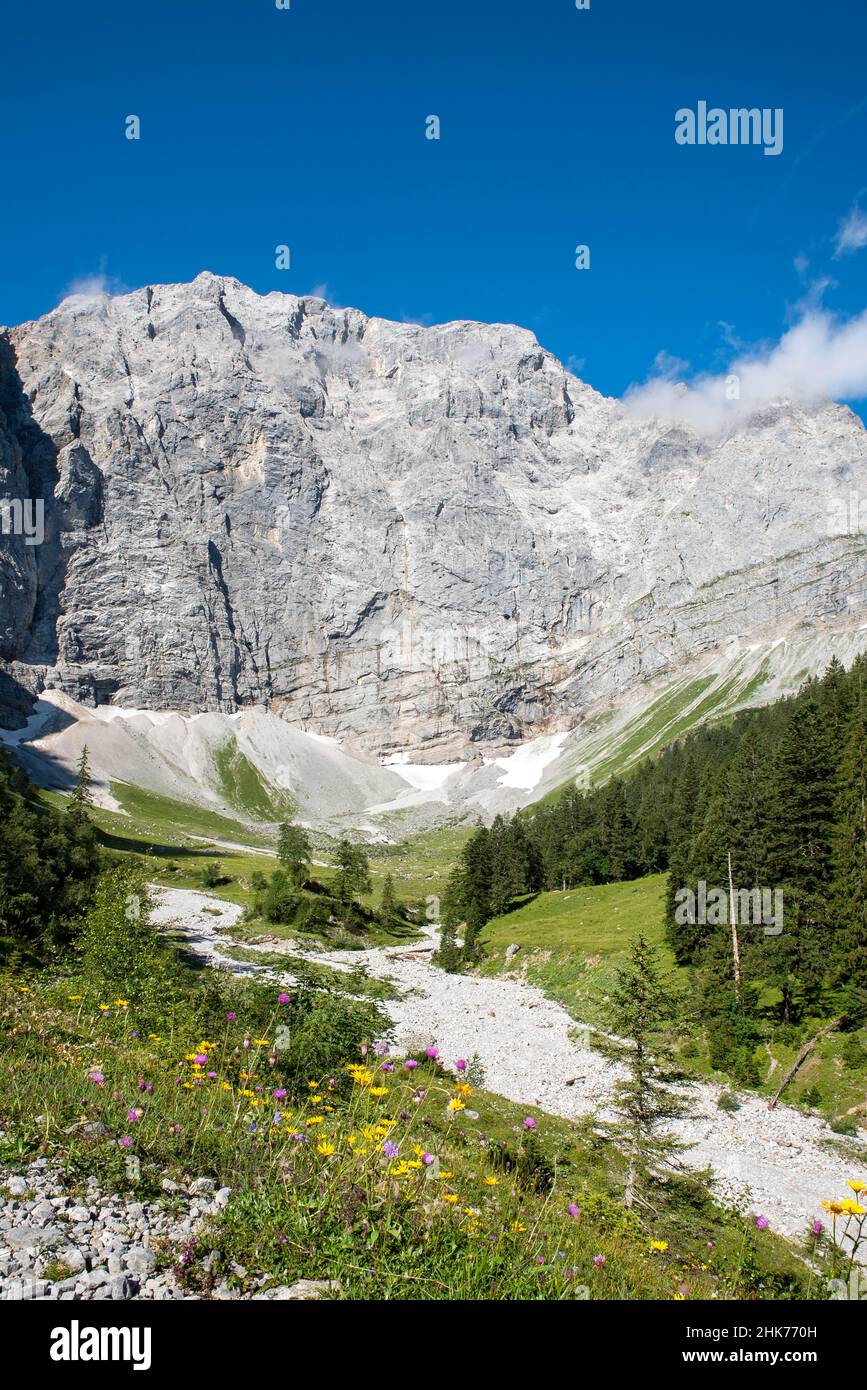 Enger Grund Almgebiet mit ausgetrocknetem Bachbett des Rissbaches, dahinter Grubenkarspitze, Karwendelgebirge, Tirol, Österreich Stockfoto
