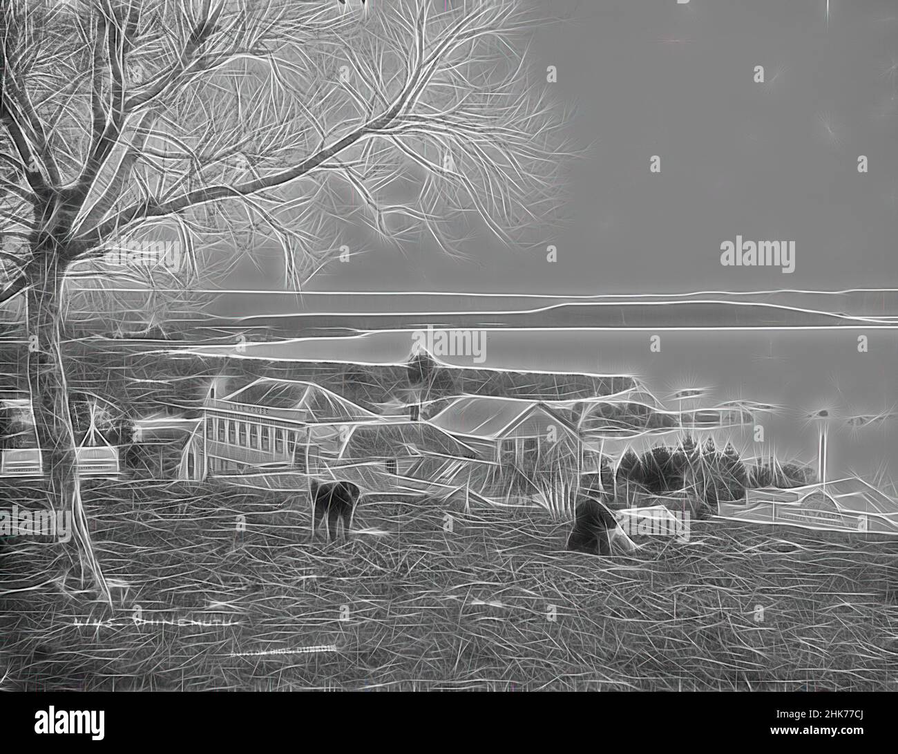 Inspiriert von Ohinemutu, Burton Brothers Studio, Fotostudio, Neuseeland, Gelatine-Trockenplattenverfahren, Gebäude sichtbar mit Schildern Lake House, Ohinemutu Store estab. 1872. J. H. Taylor Auctioneer & Commission Agent, neu gestaltet von Artotop. Klassische Kunst neu erfunden mit einem modernen Twist. Design von warmen fröhlichen Leuchten der Helligkeit und Lichtstrahl Strahlkraft. Fotografie inspiriert von Surrealismus und Futurismus, umarmt dynamische Energie der modernen Technologie, Bewegung, Geschwindigkeit und Kultur zu revolutionieren Stockfoto