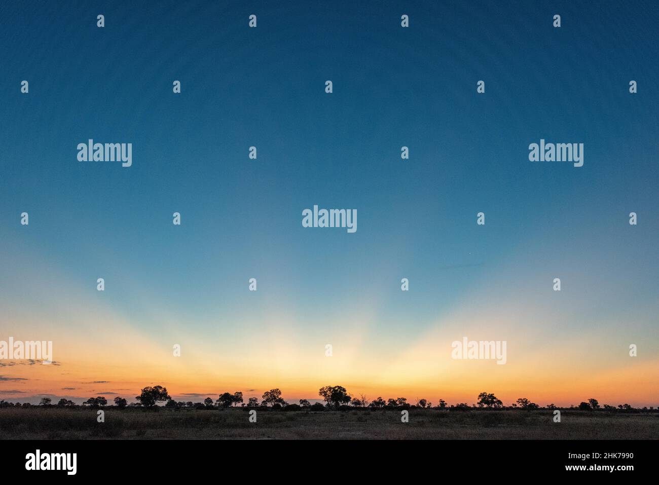 Farbenspiel nach Sonnenuntergang, Okavango Delta, Tubu Tree Camp, Botswana Stockfoto