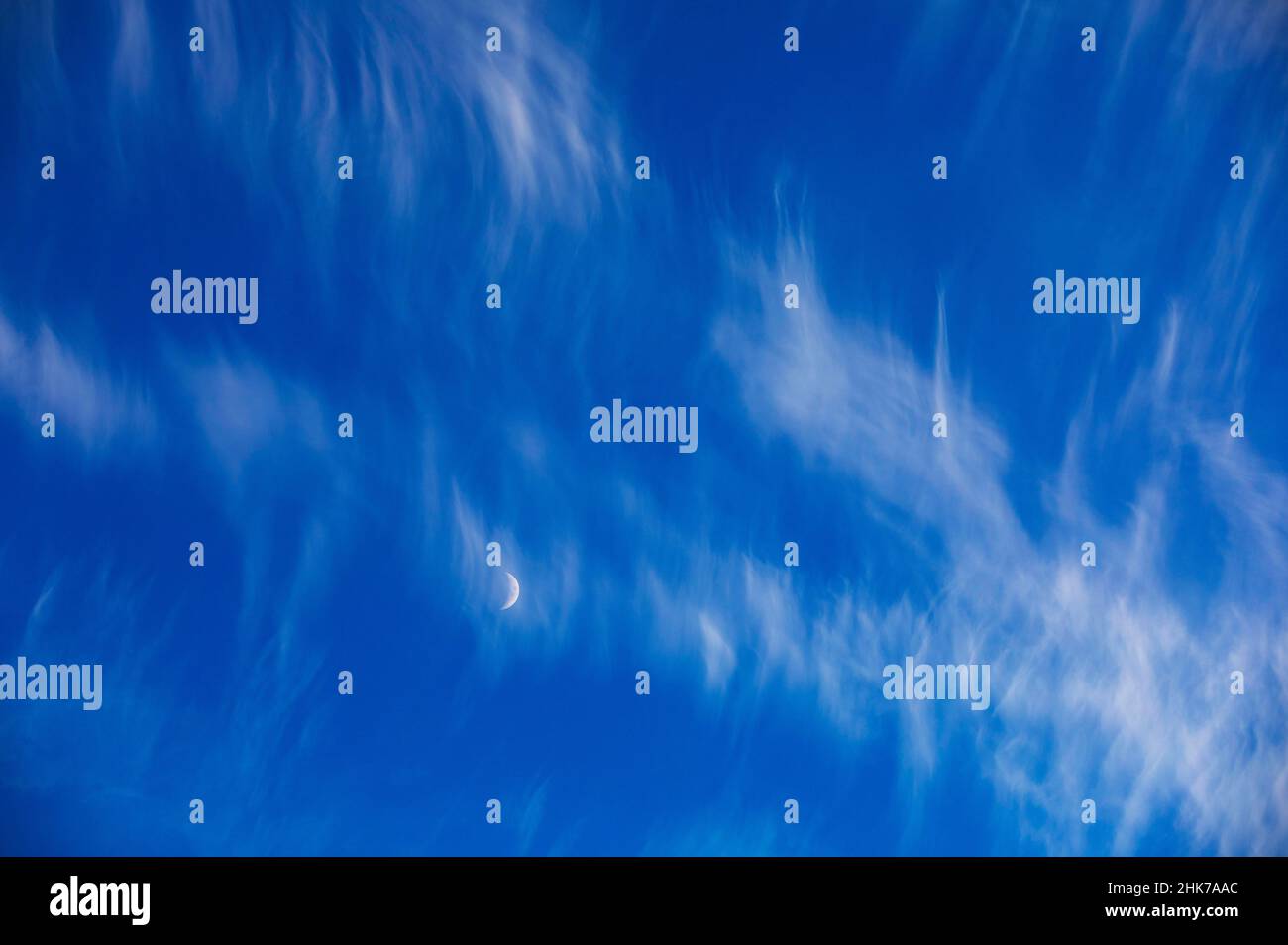 Wolkiger Himmel mit Halbmond, Zirruswolken oder Federwolken, Österreich Stockfoto