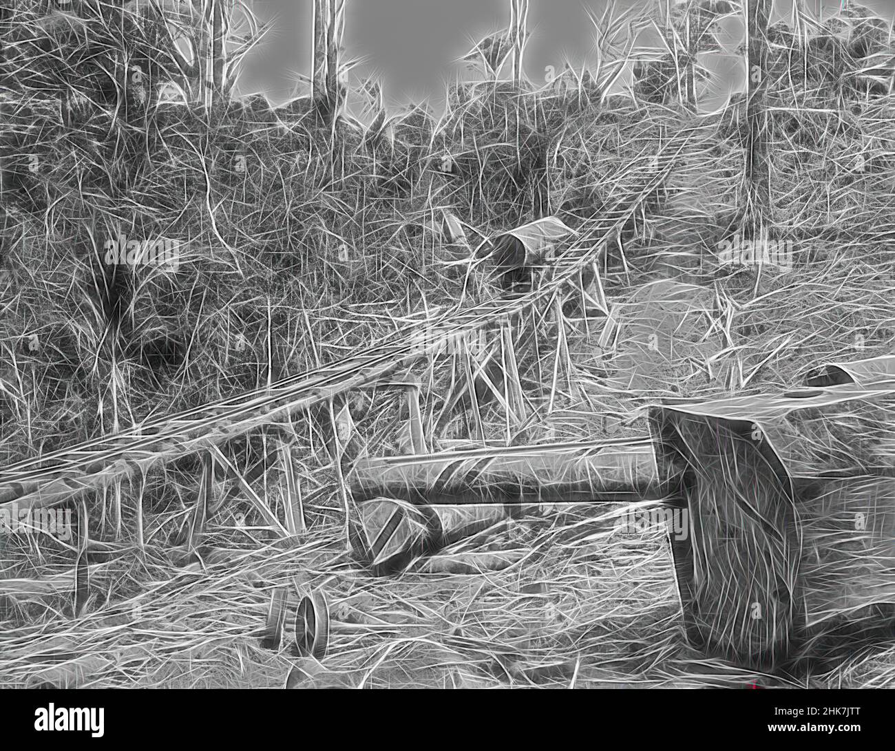 Inspiriert von [Taupaki Bush, Drahtram], Burton Brothers Studio, Fotostudio, Dunedin, Schwarzweiß-Fotografie, neu erfunden von Artotop. Klassische Kunst neu erfunden mit einem modernen Twist. Design von warmen fröhlichen Leuchten der Helligkeit und Lichtstrahl Strahlkraft. Fotografie inspiriert von Surrealismus und Futurismus, umarmt dynamische Energie der modernen Technologie, Bewegung, Geschwindigkeit und Kultur zu revolutionieren Stockfoto