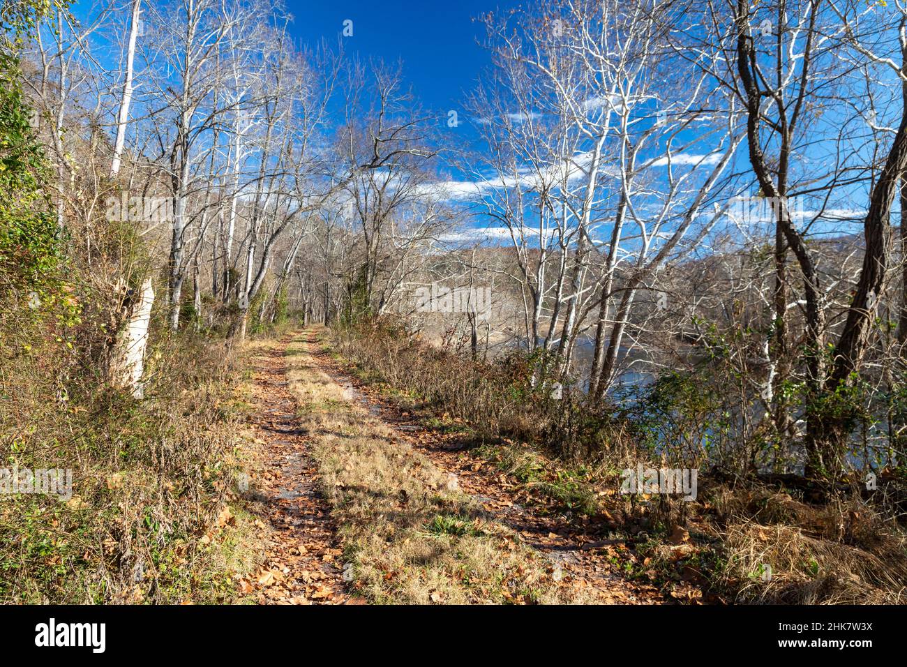 Little Orleans, Maryland - der Towpaath im historischen Park des Nationalparks von Kephapeake & Ohio Canal. Der Kanal wurde von 1831 bis 1924 betrieben und trug Kohle Stockfoto