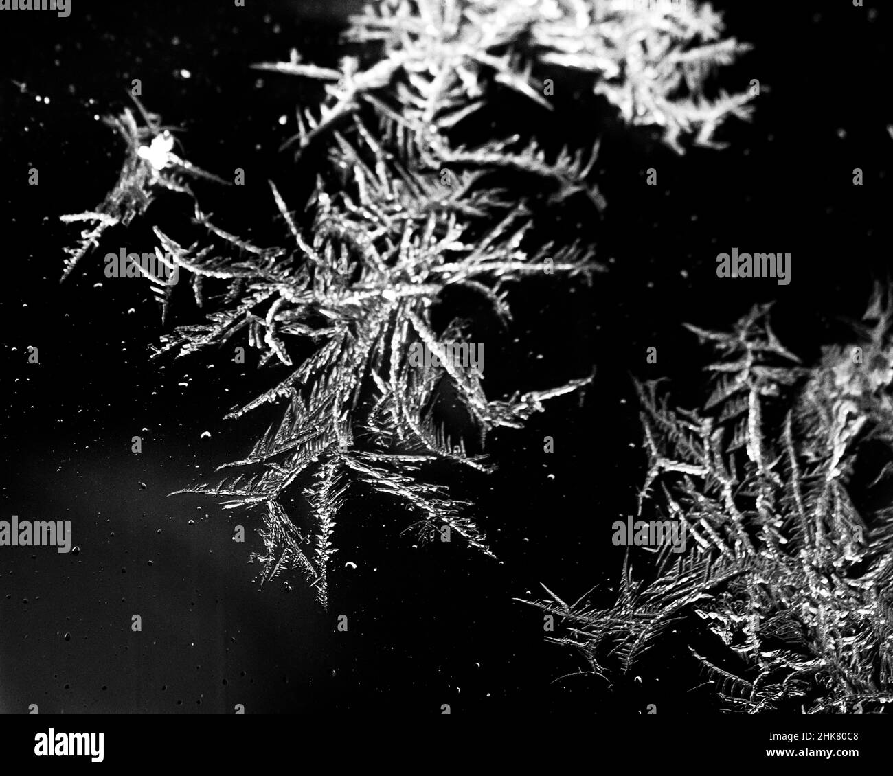 Eiskristalle Frost - gefrorenes Wasser bildet filigrane Muster in Wintereisflocken - Gefrierkristall - kalte Wetterstruktur Stockfoto