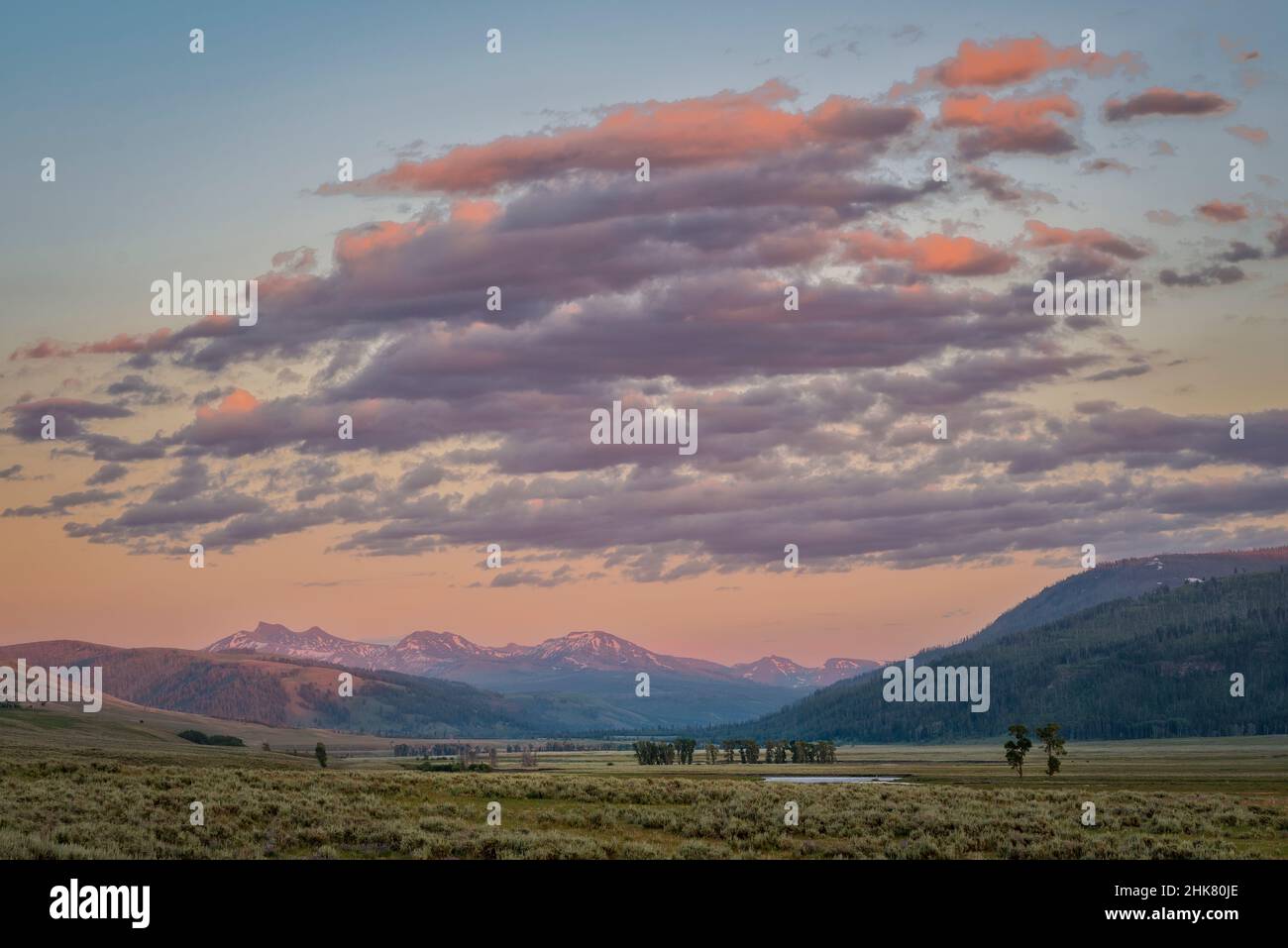Lamar Valley und die Absaroka Mountains bei Sonnenuntergang, Yellowstone National Park, Wyoming, USA. Stockfoto
