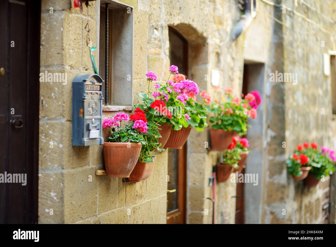 Blumen in den engen alten Straßen der berühmten Stadt Pitigliano, die sich auf einem vulkanischen Tuffsteinkamm befindet. Wunderschöne italienische Städte und Dörfer. Etruskische Herita Stockfoto