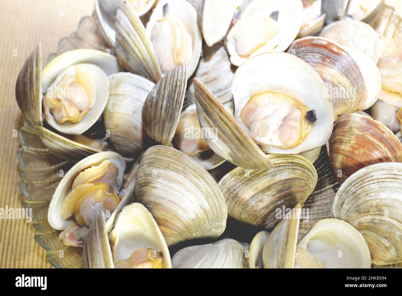 Gegartes Whole Belly Steamer Clams Stockfoto