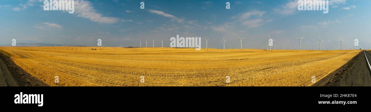 Windturbinen sind als Form erneuerbarer Energie in den westlichen Vereinigten Staaten ein übliches Bild Stockfoto