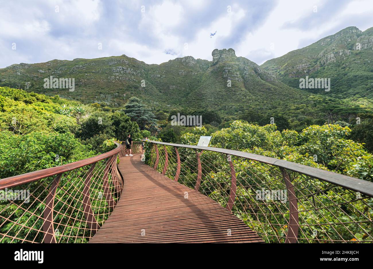 Der Centenary Tree Canopy Walkway im Kirstenbosch National Botanical Garden in Kapstadt. Auch als „Boomslang“ bekannt, eine Baumschlange. Stockfoto