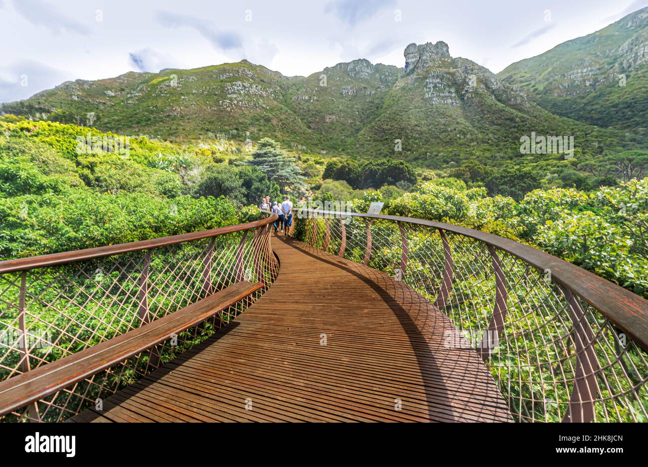 Der Centenary Tree Canopy Walkway im Kirstenbosch National Botanical Garden in Kapstadt. Auch als „Boomslang“ bekannt, eine Baumschlange. Stockfoto