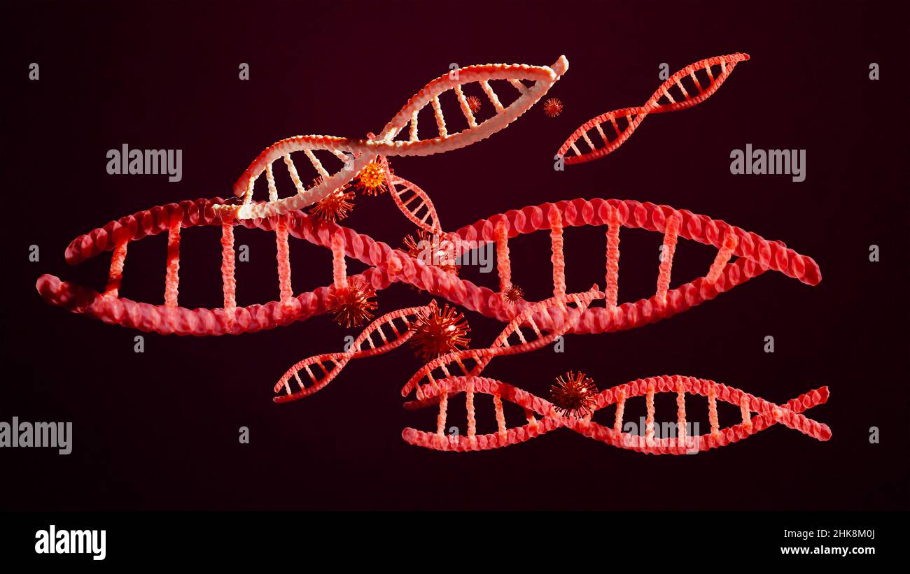 Schulinfektion mit dem Covid-19-Virus, Coronavirus-Pandemie-Grippe im Inneren von DNA-Krankheiten Stockfoto Schulinfektion mit dem Covid-19-Virus, Coronavirus-Pandemie-Grippe im Inneren von DNA-Krankheiten Stockfoto