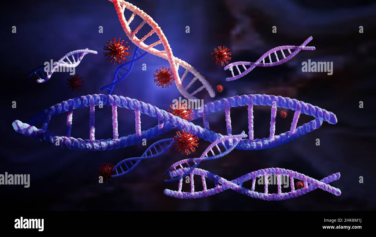 Weltinfektion mit dem Covid-19-Virus, einer pandemischen Coronavirus-Grippe im Inneren von DNA-Krankheiten Stockfoto Weltinfektion mit dem Covid-19-Virus, einer pandemischen Coronavirus-Grippe im Inneren von DNA-Krankheiten Stockfoto