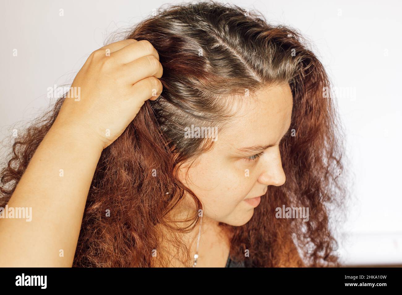 Frau, die die rechte Seite des Haares zurücklegt, um grauende Wurzeln auf weißem Hintergrund zu zeigen. Nachwachsende Wurzeln, die einer Wiederkölerung bedürfen. Anti-Age-Pflege. Kopieren Stockfoto