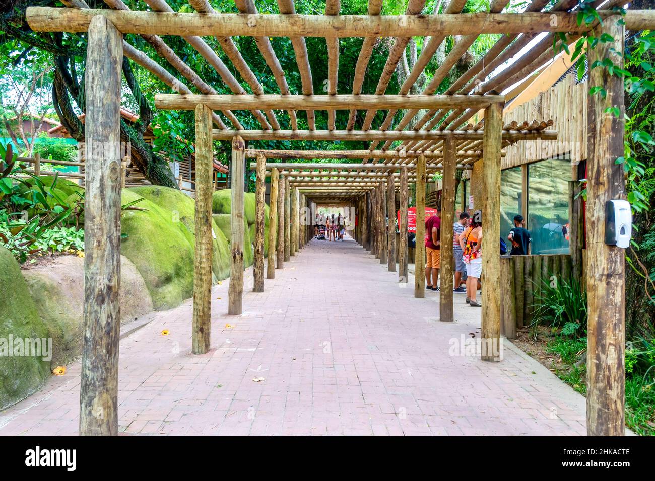Pfad mit einer rustikalen Holzstruktur in Quinta da Boa Vista. Der berühmte öffentliche Park, der sich auf dem ehemaligen kaiserlichen Gelände befindet, ist eine der Haupttouristenattraktionen i Stockfoto