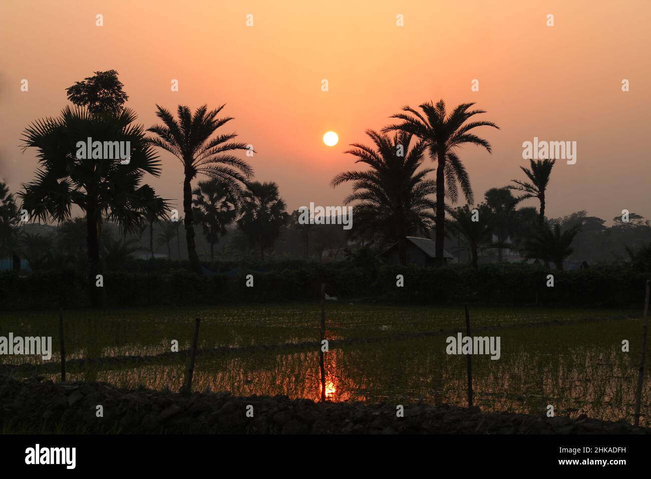 Wunderschöne Aussicht auf den Sonnenuntergang an einem nebligen Nachmittag. Bangladesch. Naturzusammensetzung Stockfoto