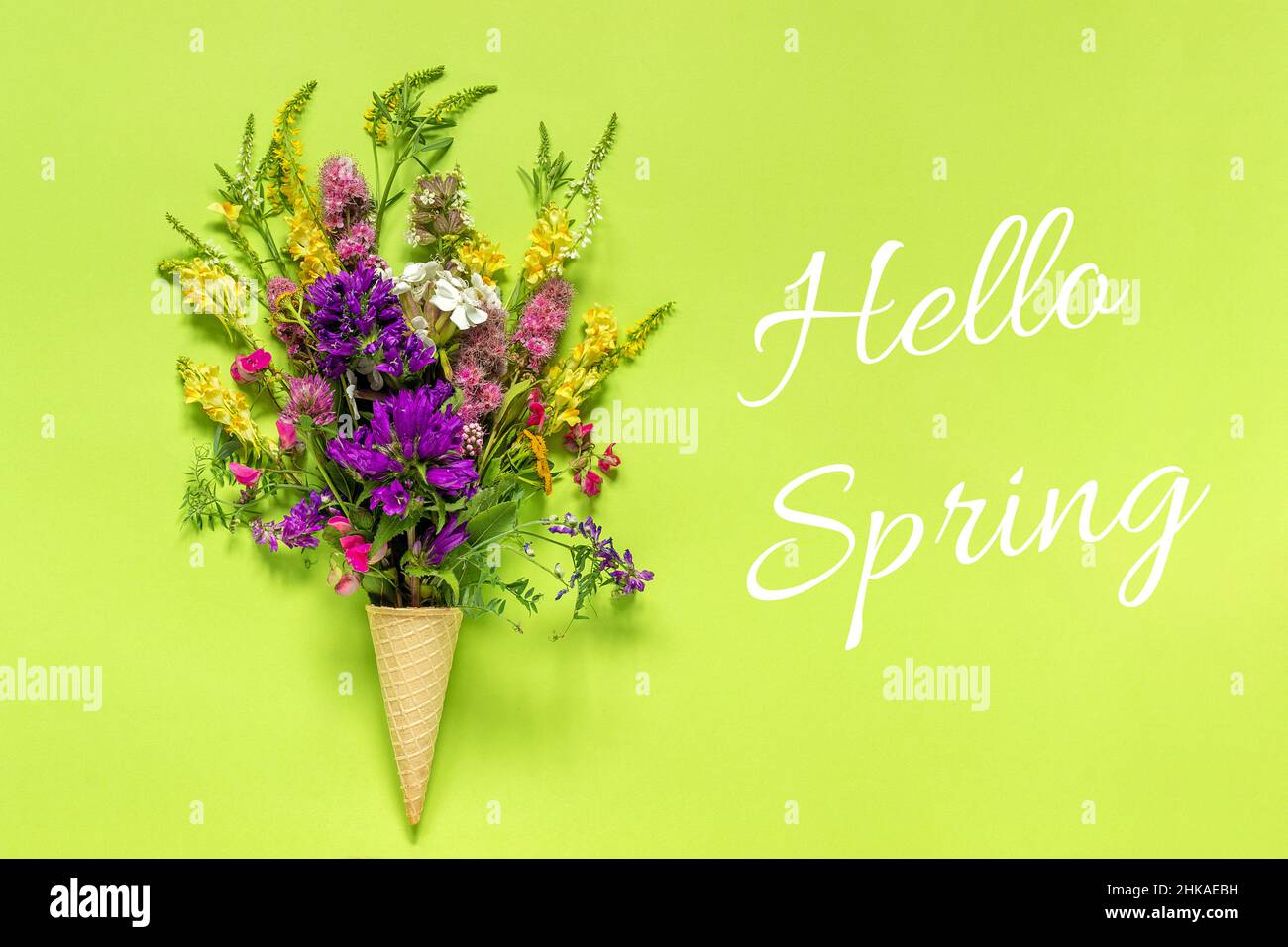 Text Hallo Frühling und Strauß Feld farbige Blumen in Waffel Eis Kegel auf grünem Papier Hintergrund Creative Flat Lay Draufsicht Konzept Frühling. Stockfoto