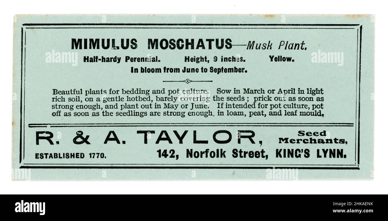 Original Samenpaket aus dem frühen 20. Jahrhundert, das Samen für Mimulus moschatus (Moschuspflanze) von den Samenhändlern R & A Taylor von King's Lynn, Norfolk, England, um 1930er Jahre enthält Stockfoto