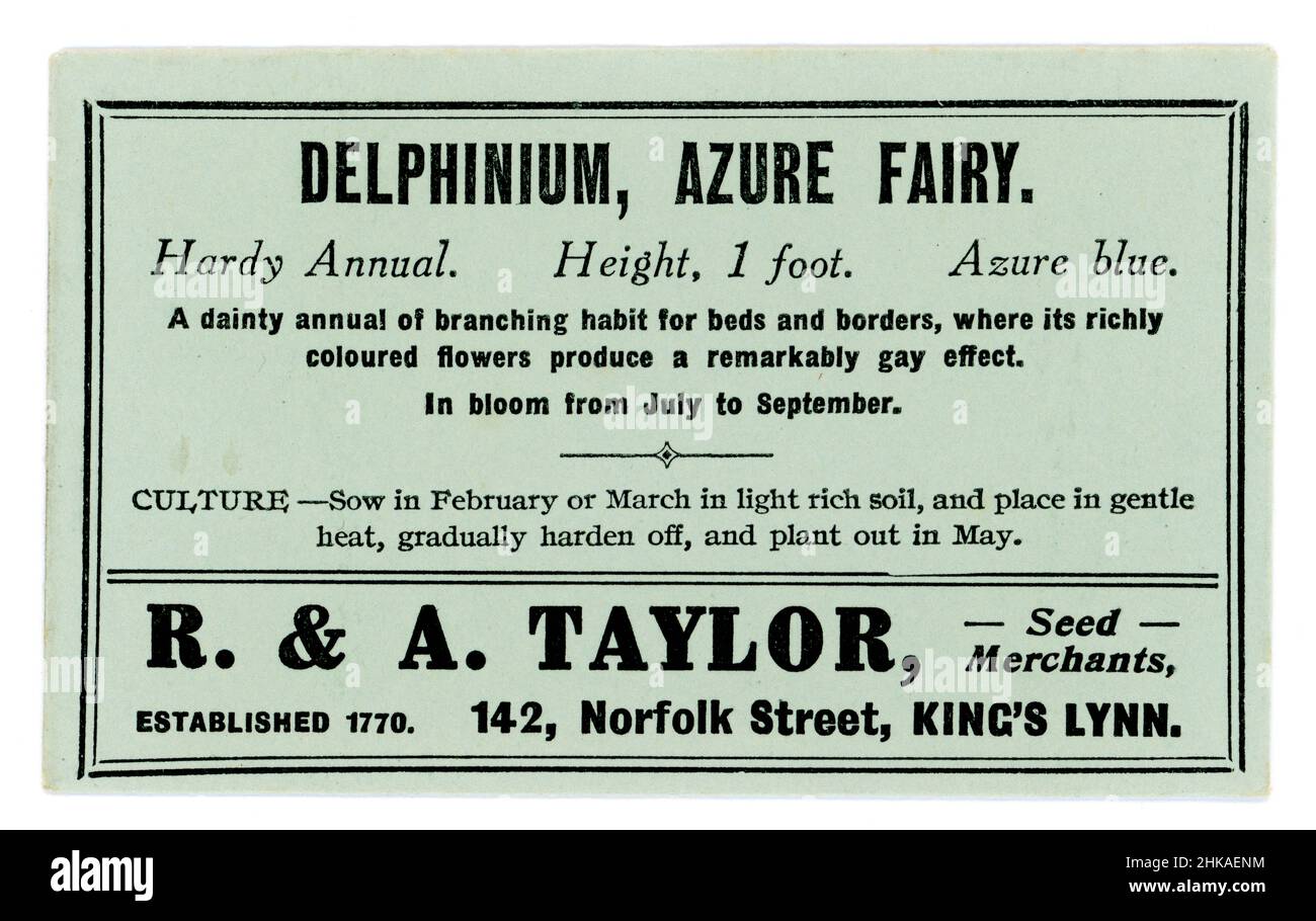 Original Samenpaket aus dem frühen 20. Jahrhundert, das Samen für Delphinium, Sorte Azure Fairy, von Samenhändlern R & A Taylor von King's Lynn, Norfolk, England, U.K. um 1930er Jahre enthält Stockfoto