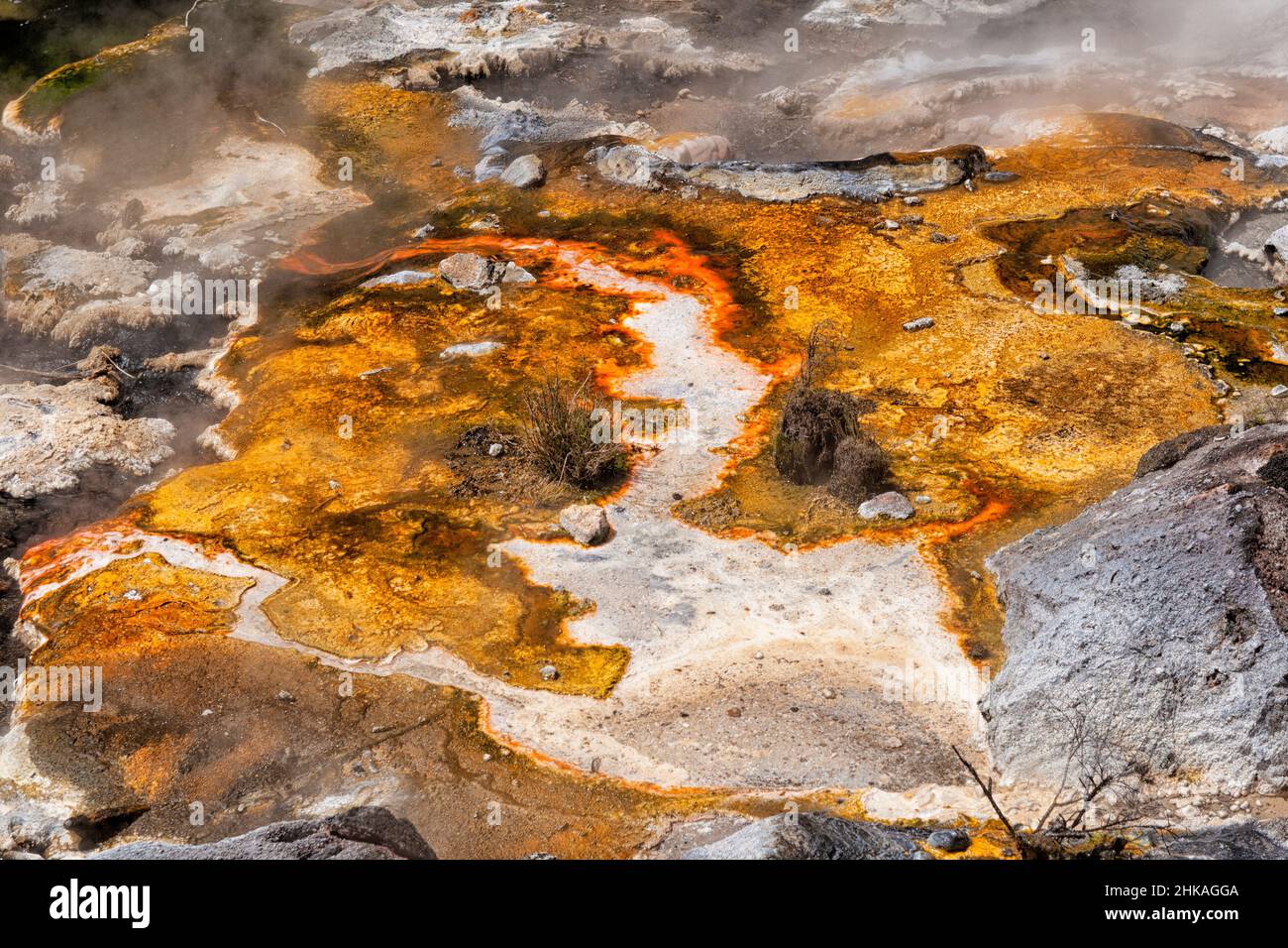 Geothermische Besonderheit des Waimangu Volcanic Valley, Rotorua, Neuseeland Stockfoto