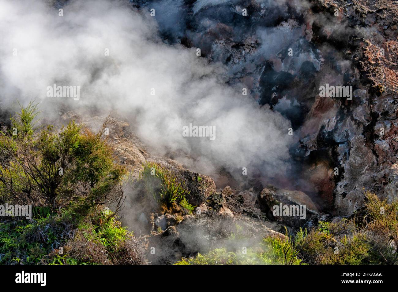 Geothermische Besonderheit des Waimangu Volcanic Valley, Rotorua, Neuseeland Stockfoto