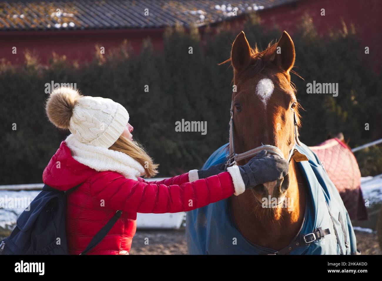Frau mit Pferd in der Wintersaison. Frau mit Winterhut und roter Jacke. Pferdedecke durch Schutzdecke. Stockfoto