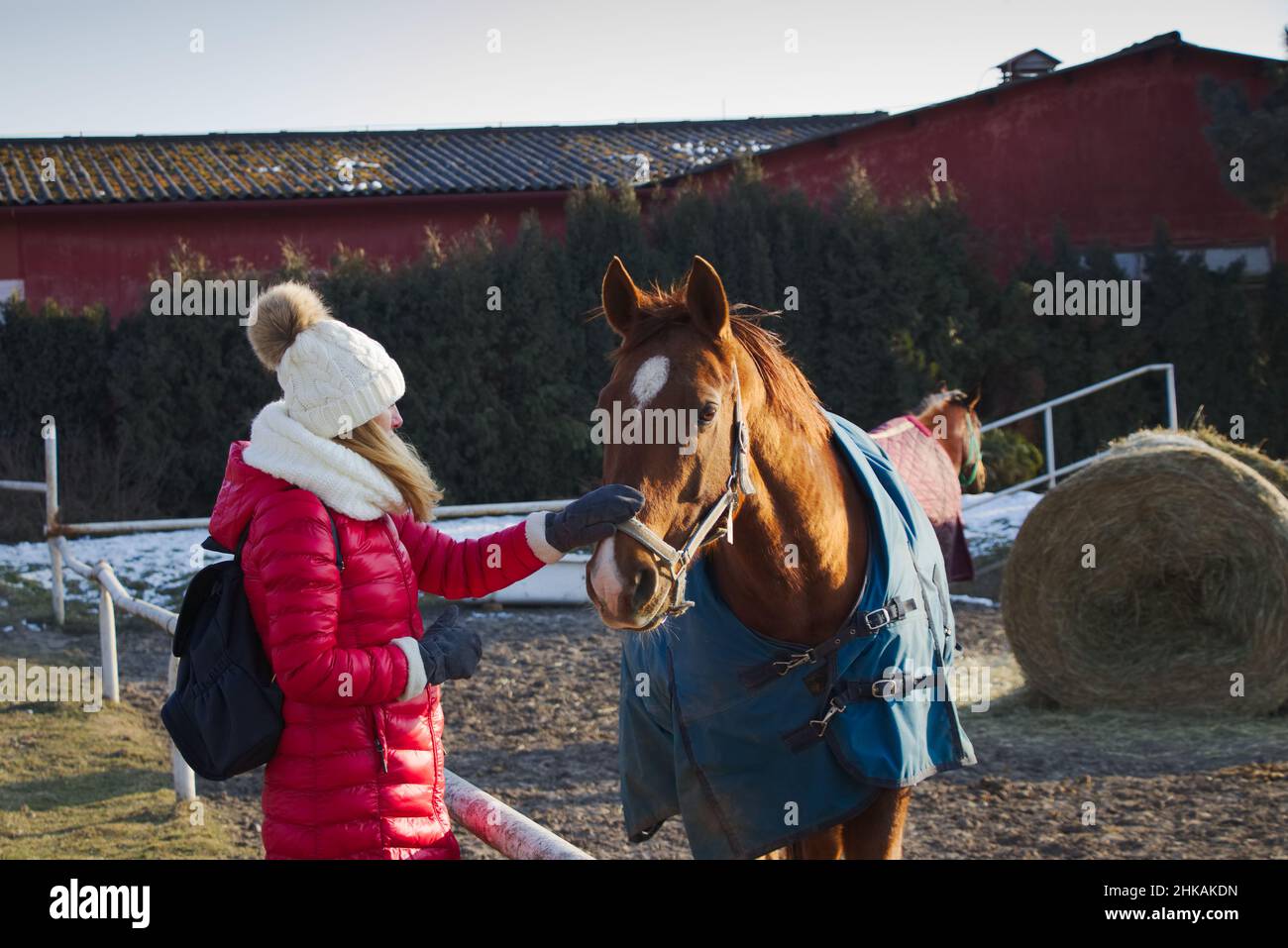 Frau mit Pferd in der Wintersaison. Frau mit Winterhut und roter Jacke. Pferdedecke durch Schutzdecke. Stockfoto