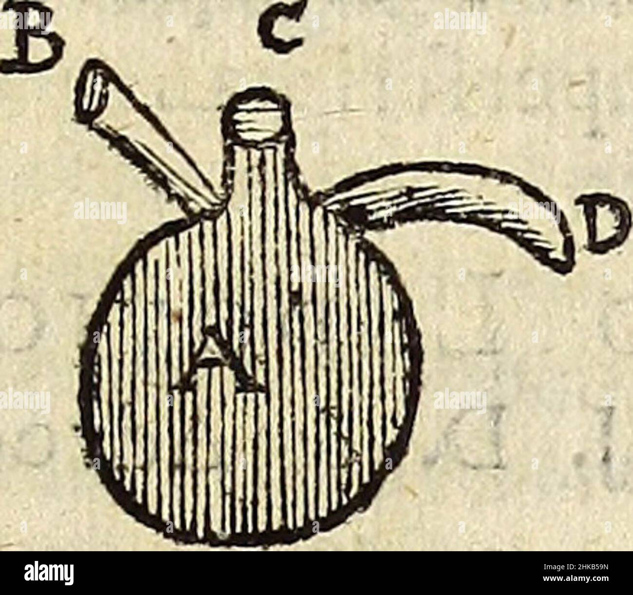 'Miscellanea Curiosa Medico-Physica Academiae Naturae Curiosorum' (1676) Stockfoto