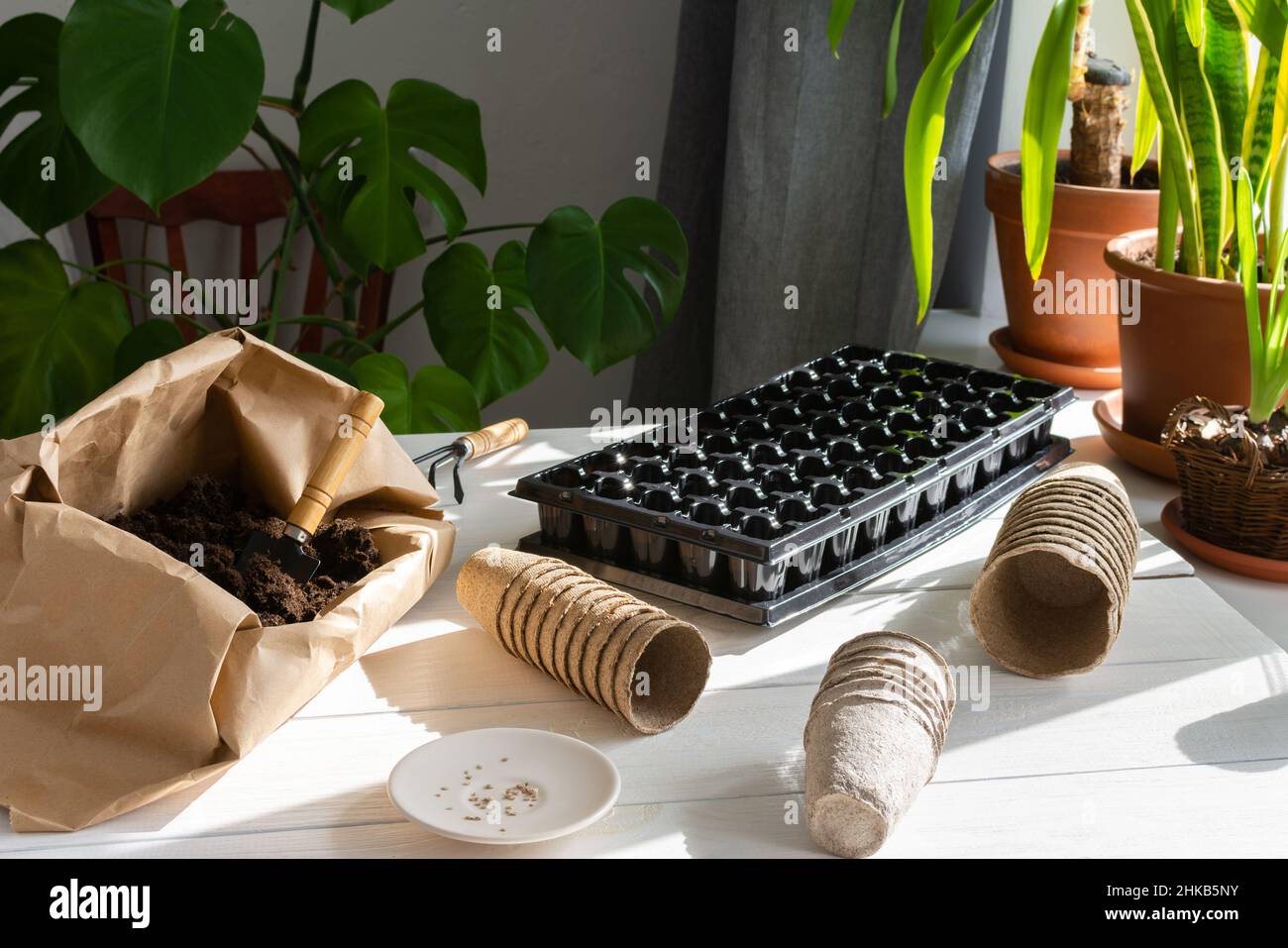 Umweltfreundliche Töpfe und eine Kunststoffform zum Pflanzen von Samen, Papiertüte mit Boden- und Gartenkelle und Rechen, Tomatensamen Stockfoto