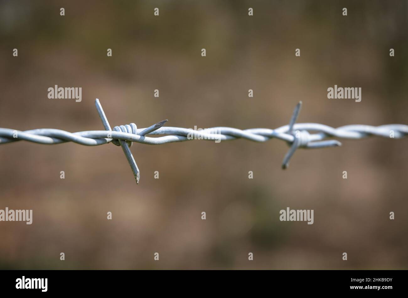 Stacheldrahtzaun aus Metall mit scharfen Spikes Stockfoto