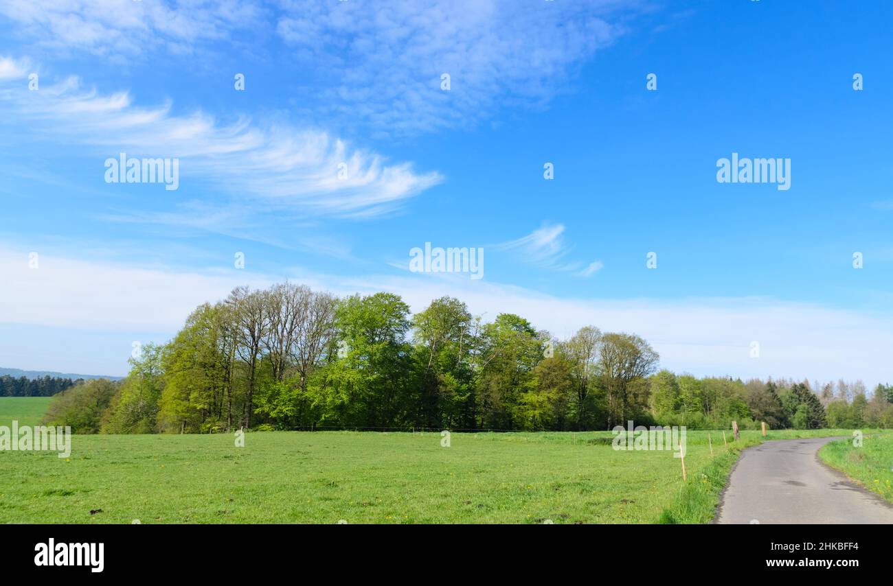 Idyllische Landschaft im Grünen mit Wald und blauem Himmel in der Region Westerwald, Rheinland-Pfalz, Deutschland, Europa Stockfoto