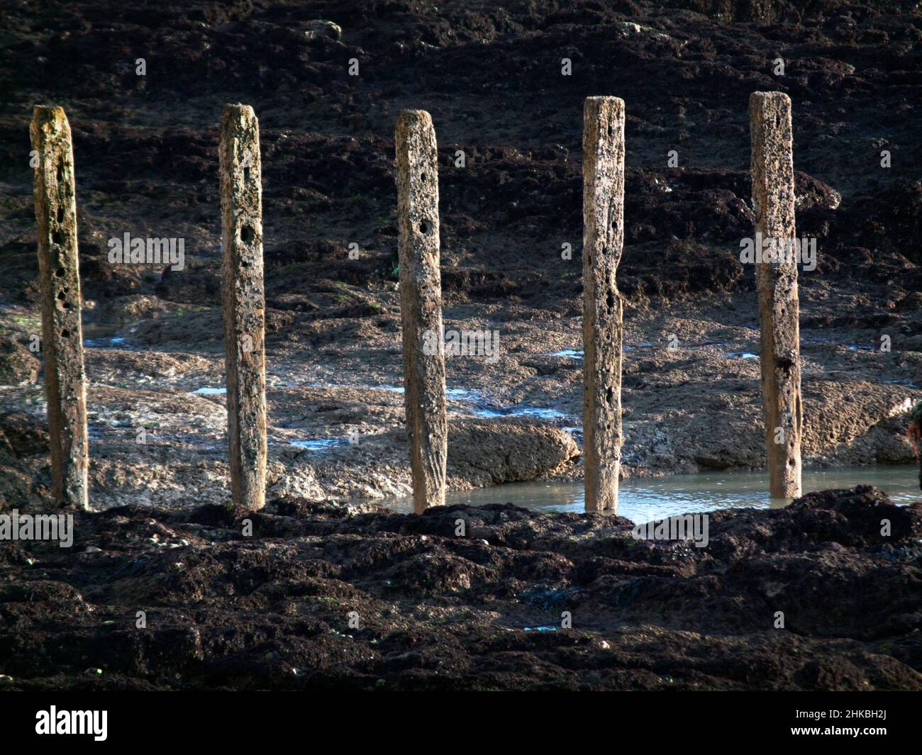 Meeresverteidigung in der Nähe von Seaford, England Stockfoto