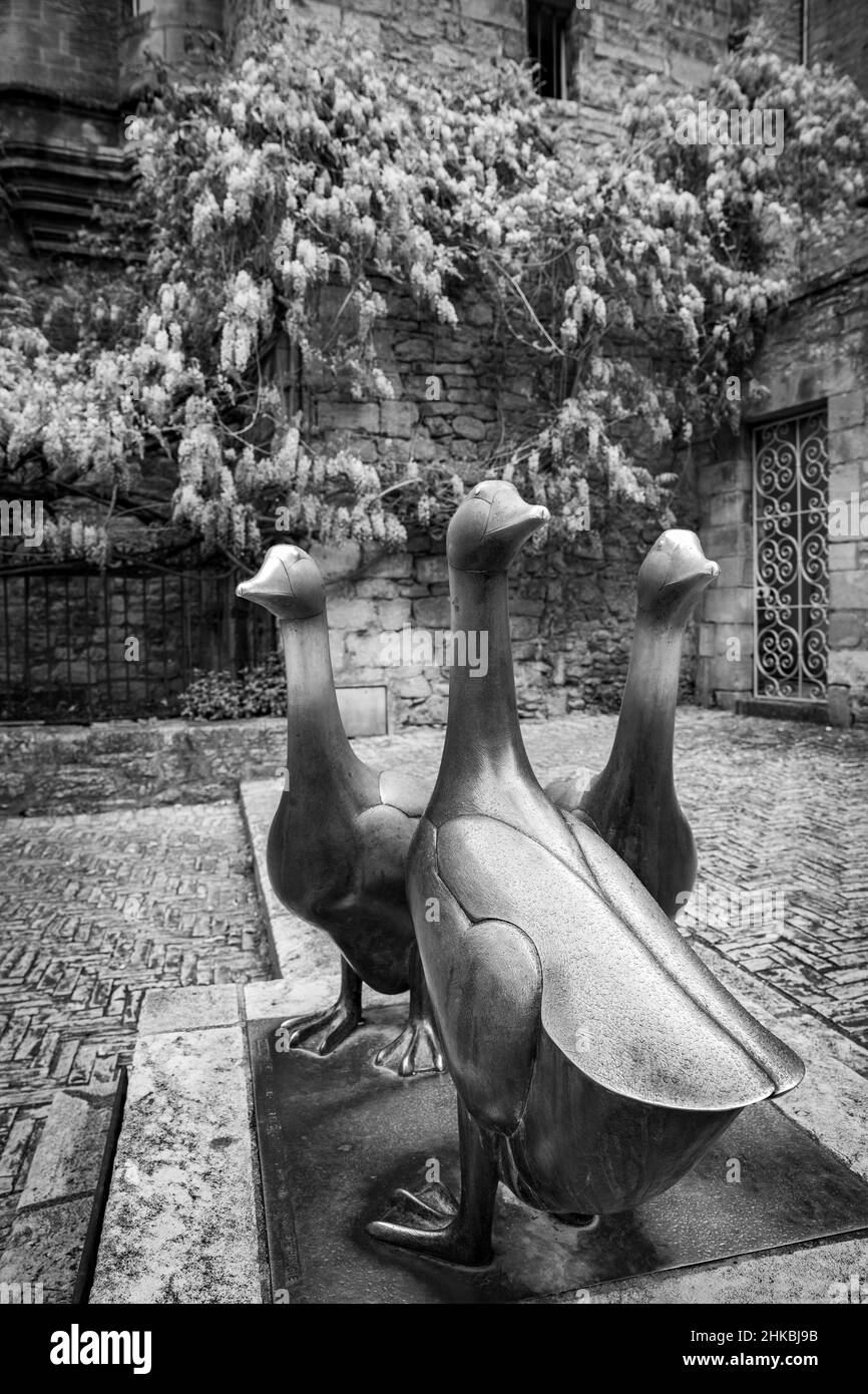 Berühmte Bronzegänse in Sarlat Dordogne Frankreich Stockfoto