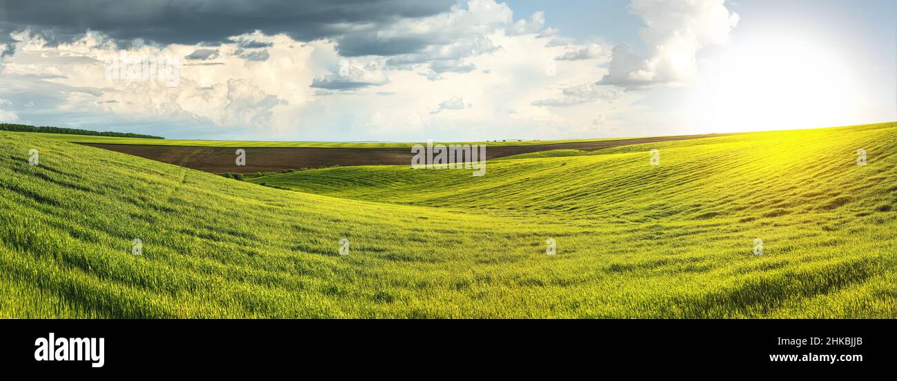 Panoramablick auf gepflügte Feld und ein Feld von Winterweizen in der hügeligen Gelände mit bewölkten Himmel der Ukraine Stockfoto