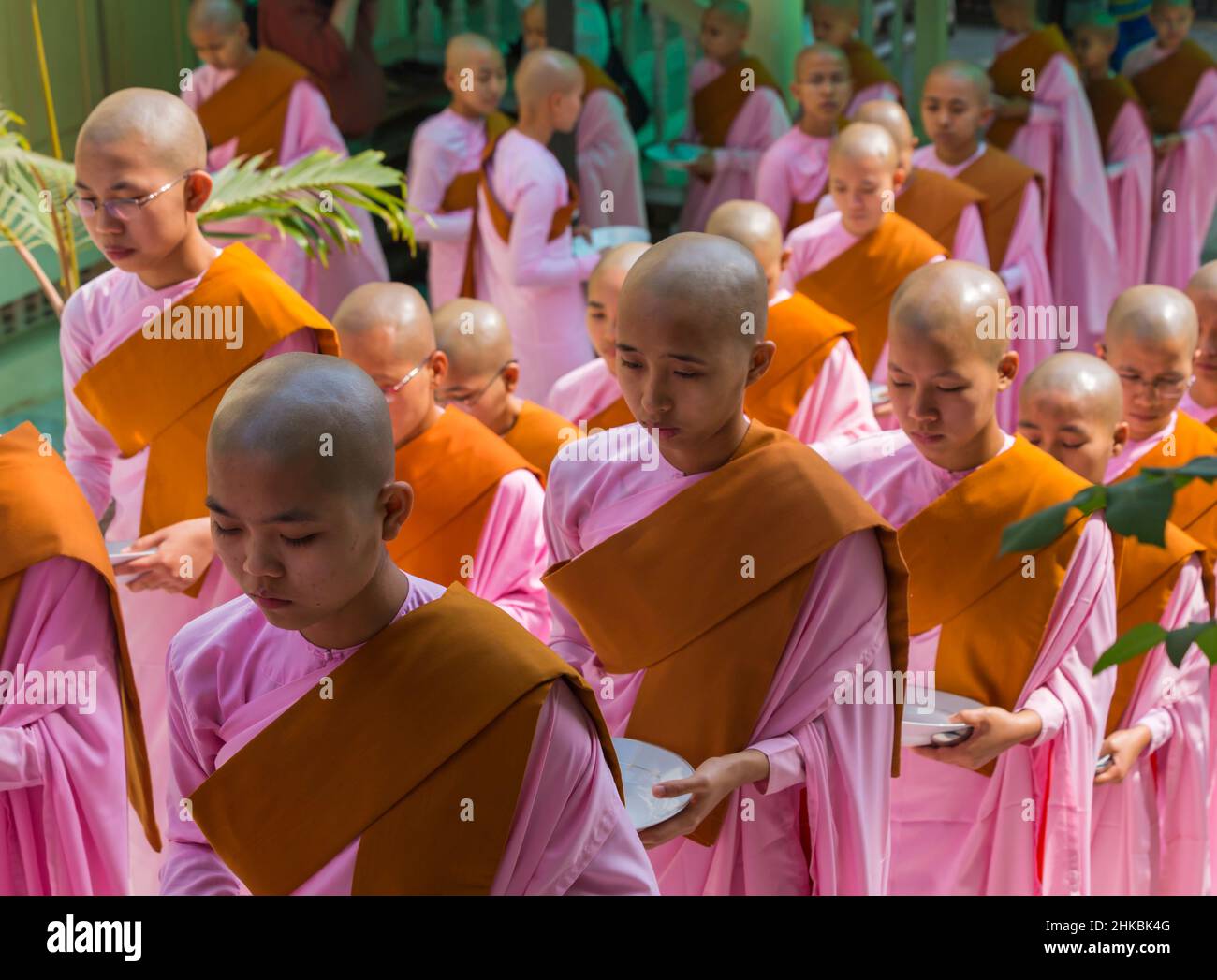 Nonnen aufgereiht Haltebleche Queuing für Lebensmittel bei Thetkya Thidar Nonnenkloster, Sakyadhita Thilashin Nonnenkloster Schule, Sagaing, Myanmar (Burma), Asien Stockfoto