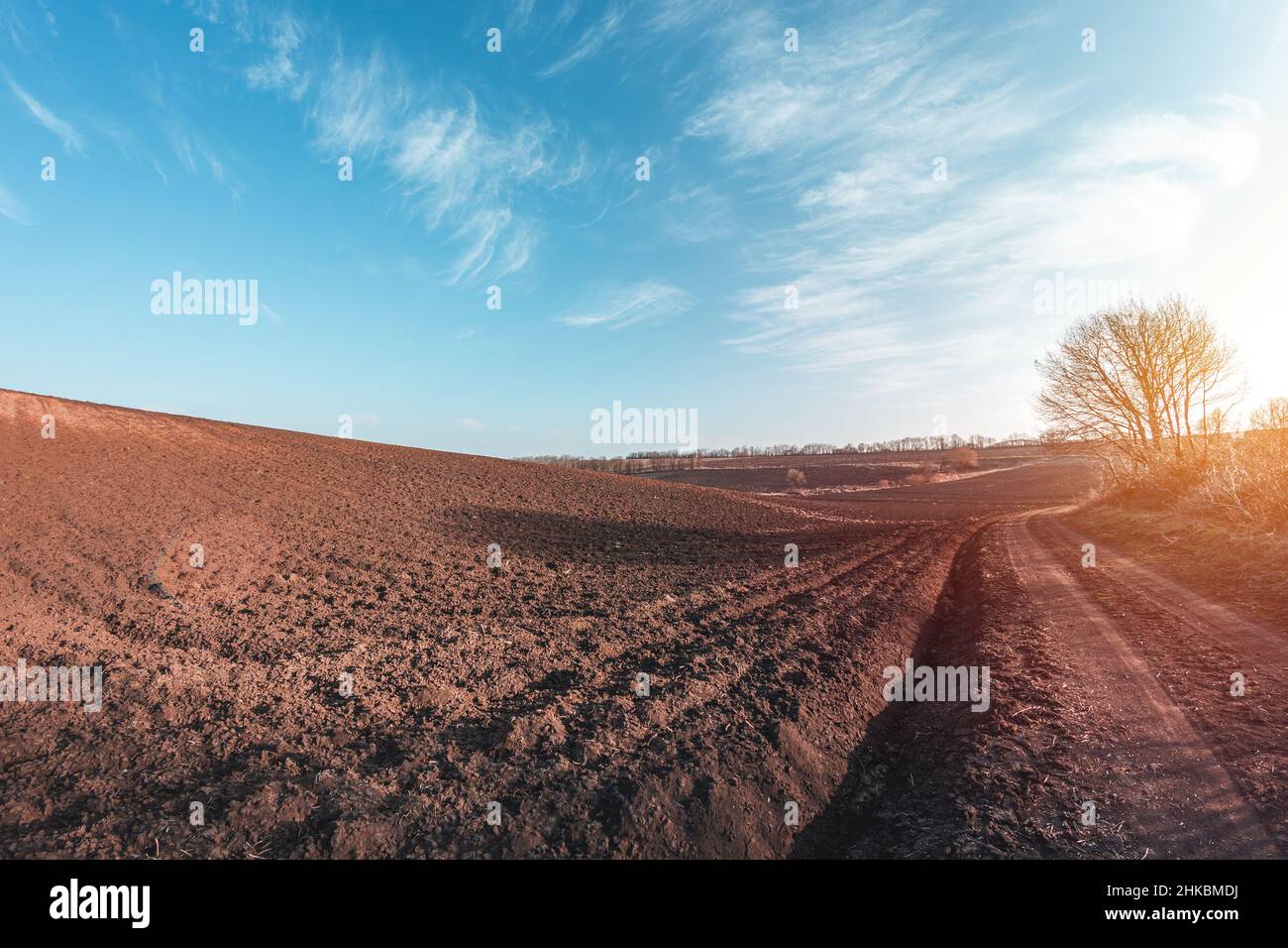 Landwirtschaftliche Feld ohne Pflanzen im Frühjahr. Vorbereitete landwirtschaftliche Flächen für die Anpflanzung von Getreide Stockfoto