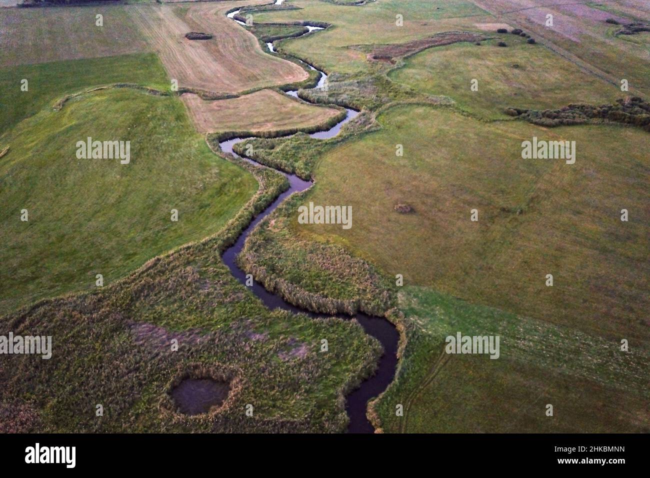 Biebrza Fluss im Osten polens. Stockfoto