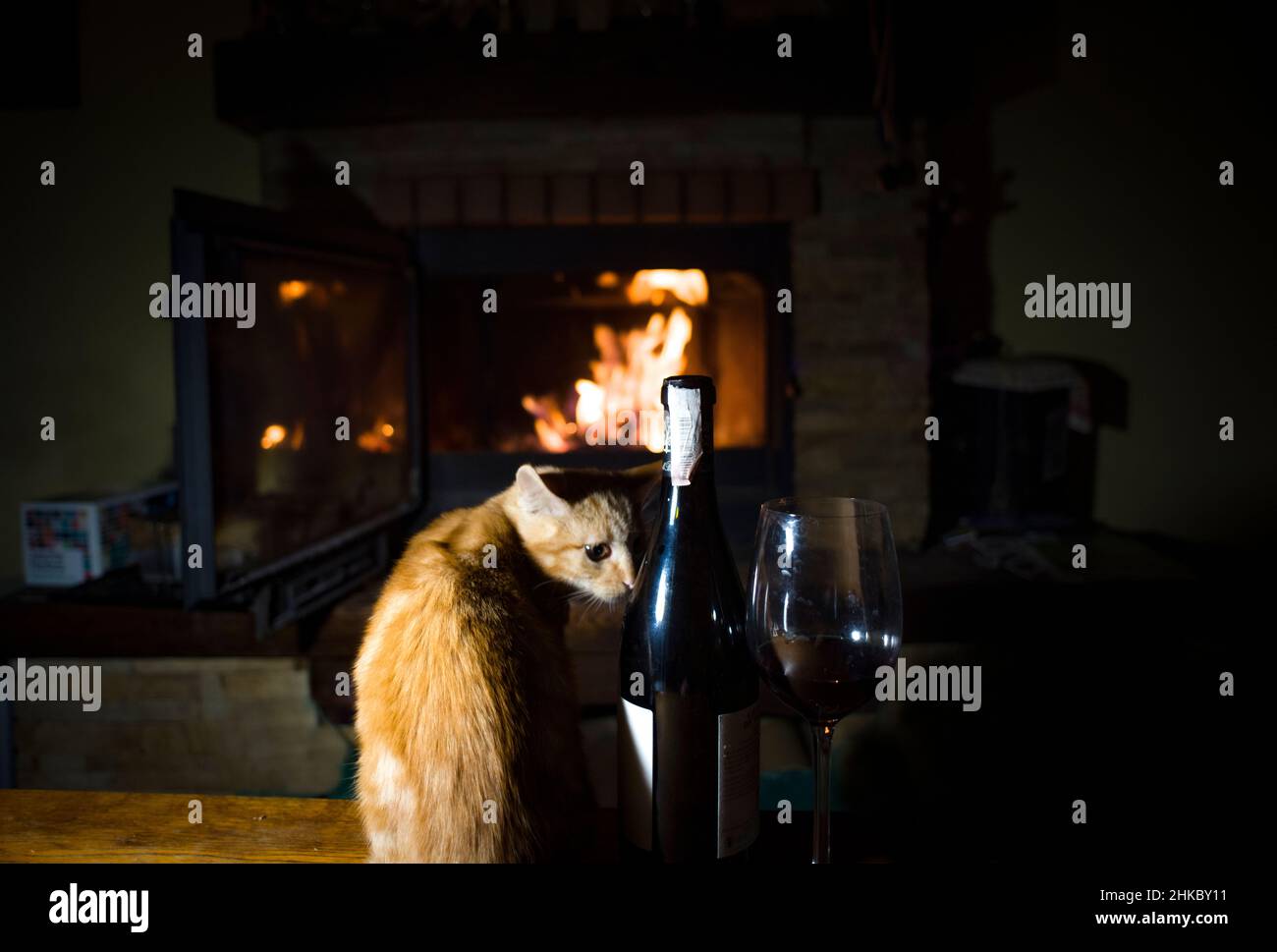 Eine lustige rote Katze in der Nähe des Kamins, mit etwas Wein Stockfoto