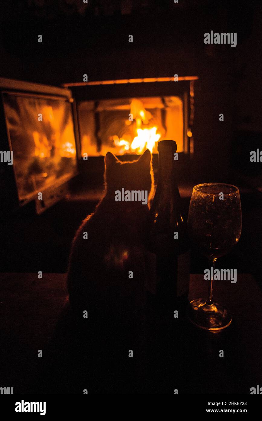 Eine lustige rote Katze in der Nähe des Kamins, mit etwas Wein Stockfoto