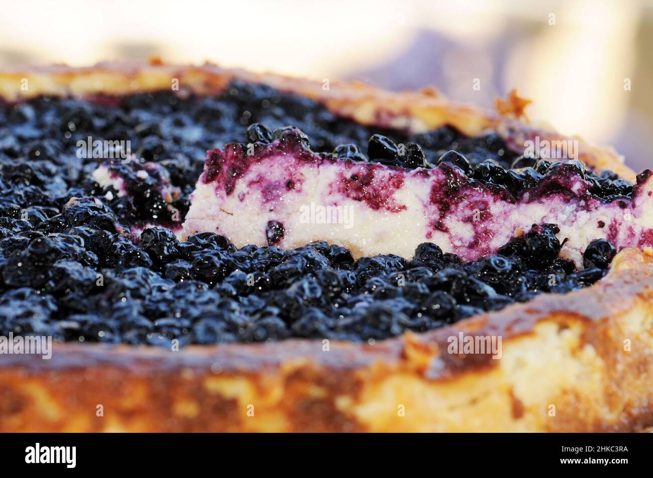 Käsekuchen mit Beeren darauf Stockfoto